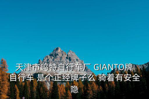 天津市鳴特自行車廠 GIANTO牌自行車 是個正經牌子么 騎著有安全隱