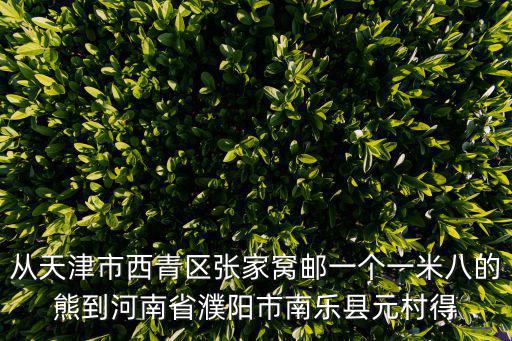 天津市西青區張家窩郵局，西青區郵政投遞分局在哪