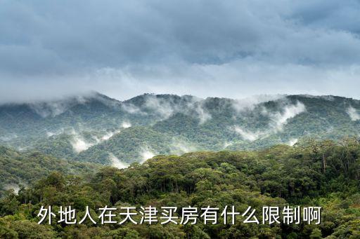 外地人在天津買房有什么限制啊