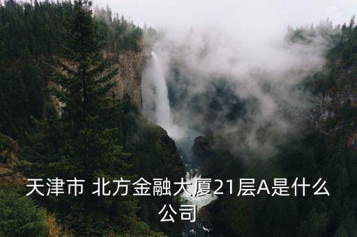 天津市 北方金融大廈21層A是什么公司