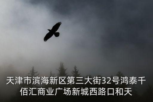 天津市濱海新區第三大街32號鴻泰千佰匯商業廣場新城西路口和天