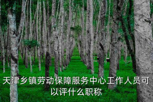 天津鄉鎮勞動保障服務中心工作人員可以評什么職稱