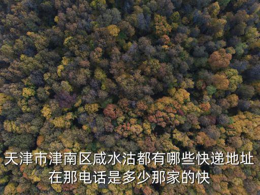 天津市津南區咸水沽都有哪些快遞地址在那電話是多少那家的快