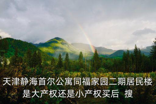天津靜海首爾公寓同福家園二期居民樓是大產(chǎn)權(quán)還是小產(chǎn)權(quán)買(mǎi)后  搜