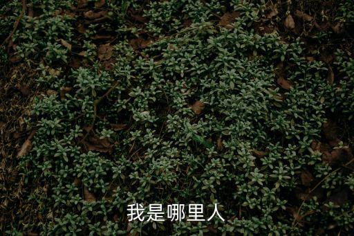 天津市濱海新區天氣，天津塘沽8月5日天氣