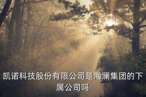 凱諾科技股份有限公司是海瀾集團的下屬公司嗎