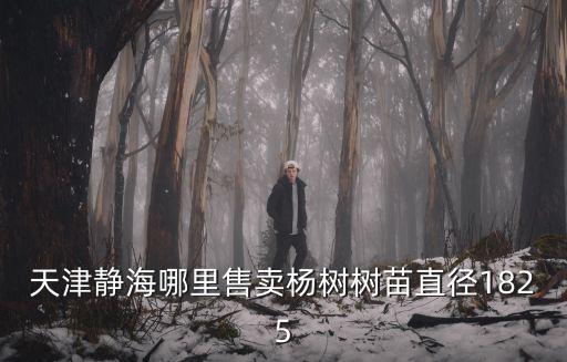天津靜海哪里售賣(mài)楊樹(shù)樹(shù)苗直徑1825