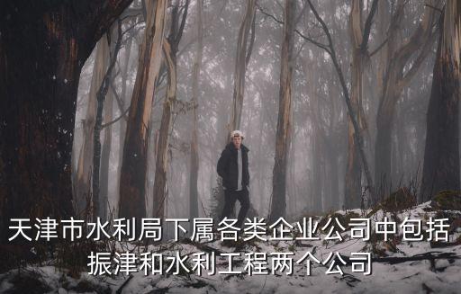 天津市水務局 掛牌，天津市水利局下屬各類企業公司中包括振津和水利工程兩個公司