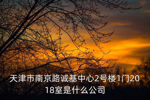 天津市南京路誠基中心2號樓1門2018室是什么公司