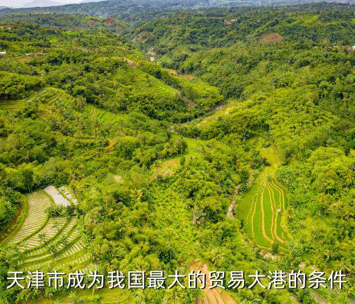天津市物流產業十三五，天津市成為我國最大的貿易大港的條件