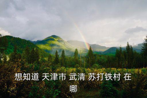 想知道 天津市 武清 蘇打鐵村 在哪