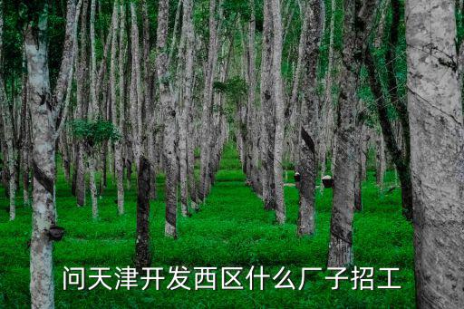 天津市發電技術設備有限公司招聘，天津市發電技術設備有限公司怎么樣