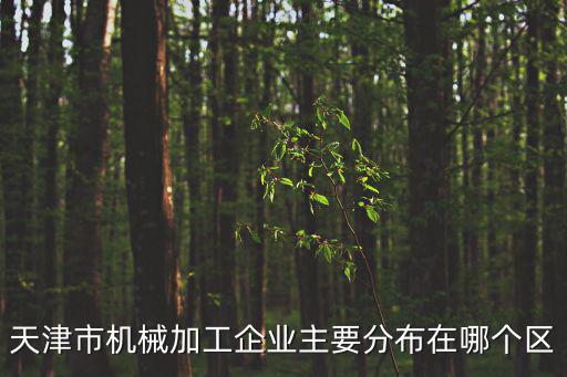 天津市機械加工企業(yè)主要分布在哪個區(qū)