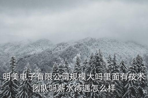 明美電子有限公司規模大嗎里面有技術團隊嗎薪水待遇怎么樣