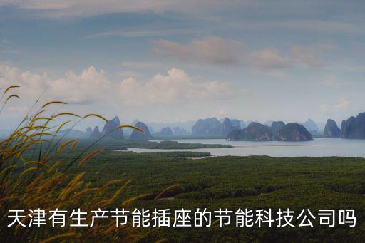 天津有生產節能插座的節能科技公司嗎