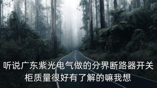 聽說廣東紫光電氣做的分界斷路器開關柜質量很好有了解的嘛我想