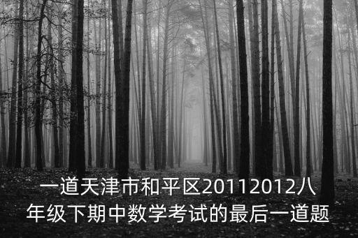 一道天津市和平區20112012八年級下期中數學考試的最后一道題