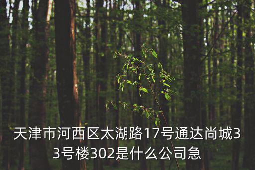 天津市河西區(qū)太湖路17號通達尚城33號樓302是什么公司急