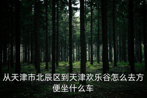 從天津市北辰區(qū)到天津歡樂谷怎么去方便坐什么車