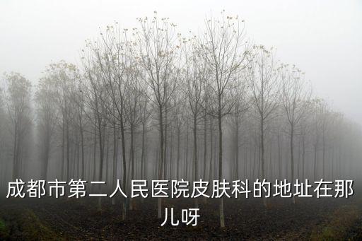 成都市青羊區(qū)池北街2號，成都市第二人民醫(yī)院皮膚科的地址在那兒呀