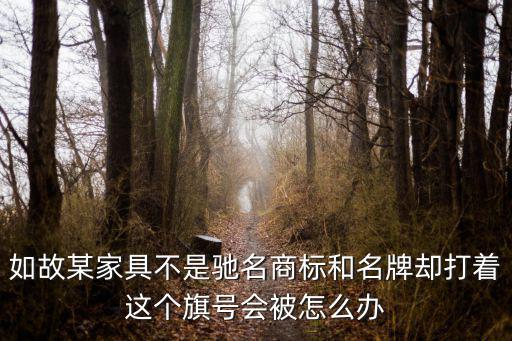 如故某家具不是馳名商標和名牌卻打著這個旗號會被怎么辦