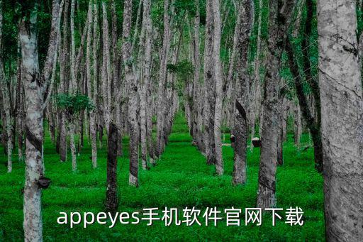 appeyes手機軟件官網下載