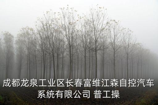 成都市工業集團有限公司招聘信息，請問一下成都的板材泡沫廠有招工的嗎