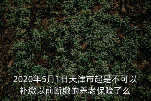 2020年5月1日天津市起是不可以補(bǔ)繳以前斷繳的養(yǎng)老保險(xiǎn)了么