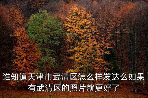 誰知道天津市武清區怎么樣發達么如果有武清區的照片就更好了