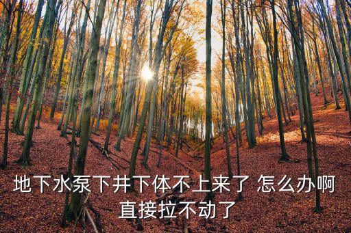 地下水泵下井下體不上來了 怎么辦啊 直接拉不動了