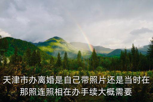 天津市辦離婚是自己帶照片還是當時在那照連照相在辦手續大概需要