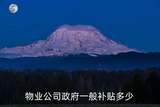物業(yè)公司政府一般補(bǔ)貼多少