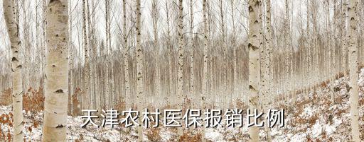 天津農(nóng)村醫(yī)保報(bào)銷比例