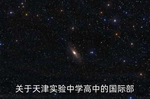 關于天津實驗中學高中的國際部