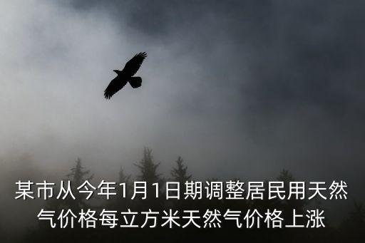 某市從今年1月1日期調整居民用天然氣價格每立方米天然氣價格上漲