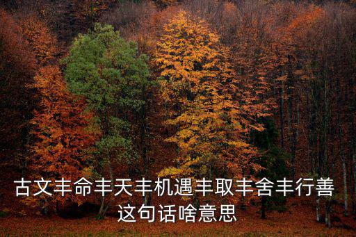 古文豐命豐天豐機遇豐取豐舍豐行善 這句話啥意思