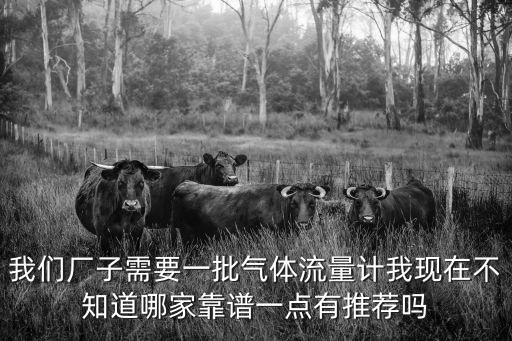 我們廠子需要一批氣體流量計我現在不知道哪家靠譜一點有推薦嗎