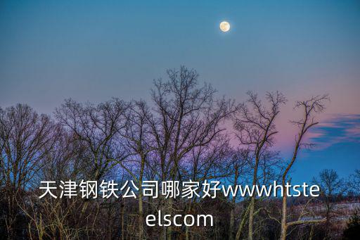 天津鋼鐵公司哪家好wwwhtsteelscom