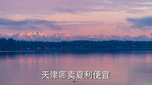 天津哪賣夏利便宜