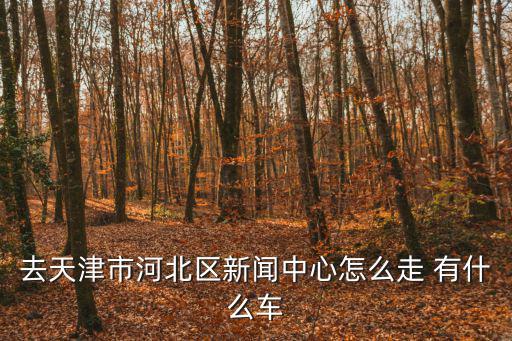 去天津市河北區新聞中心怎么走 有什么車