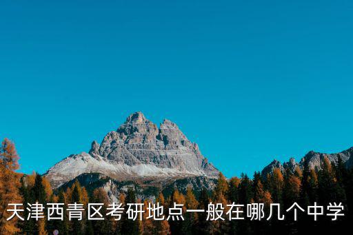 天津西青區考研地點一般在哪幾個中學