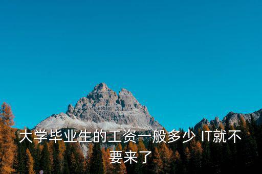 大學畢業生的工資一般多少 IT就不要來了