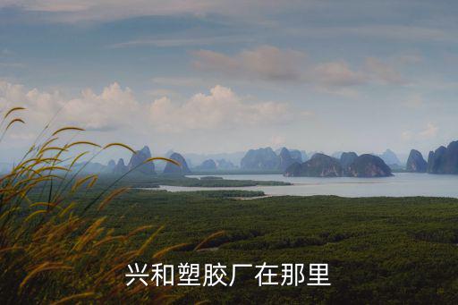 興和塑膠廠在那里