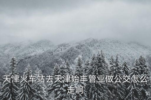 天津火車(chē)站去天津始豐管業(yè)做公交怎么走啊