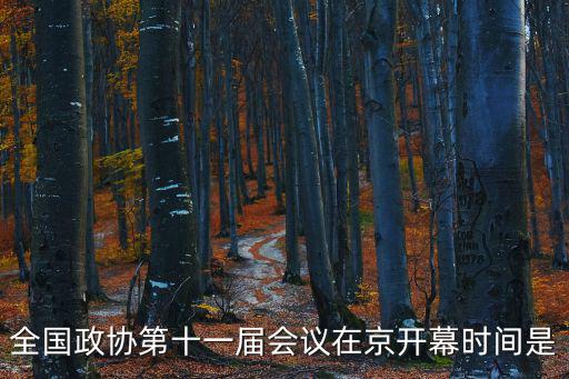 全國政協(xié)第十一屆會(huì)議在京開幕時(shí)間是