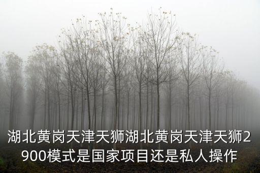 湖北黃崗天津天獅湖北黃崗天津天獅2900模式是國家項目還是私人操作