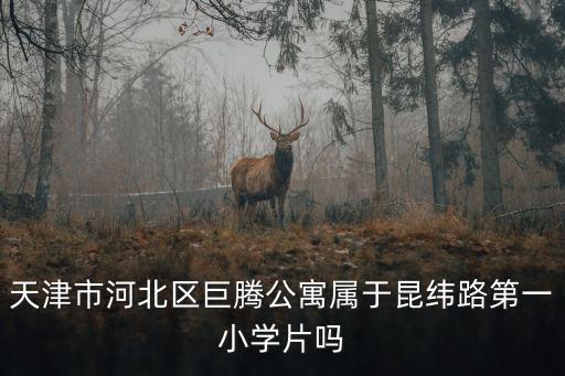 天津市河北區巨騰公寓屬于昆緯路第一小學片嗎