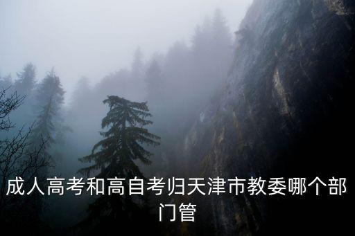 成人高考和高自考歸天津市教委哪個部門管
