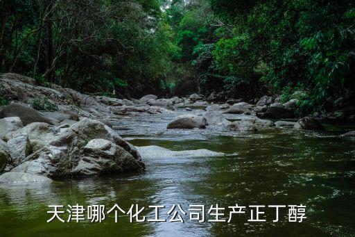 天津市鯤鵬翔宇化工有限公司，天津哪個化工公司生產正丁醇