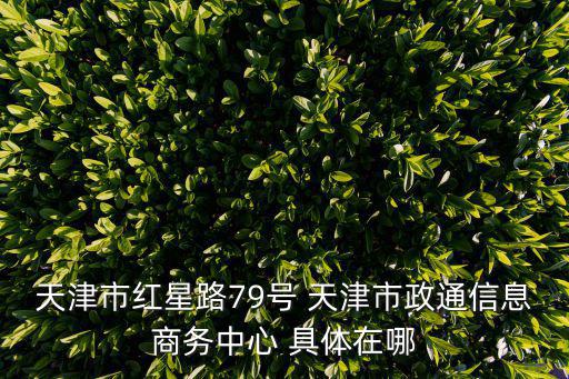 天津市紅星路79號 天津市政通信息商務中心 具體在哪